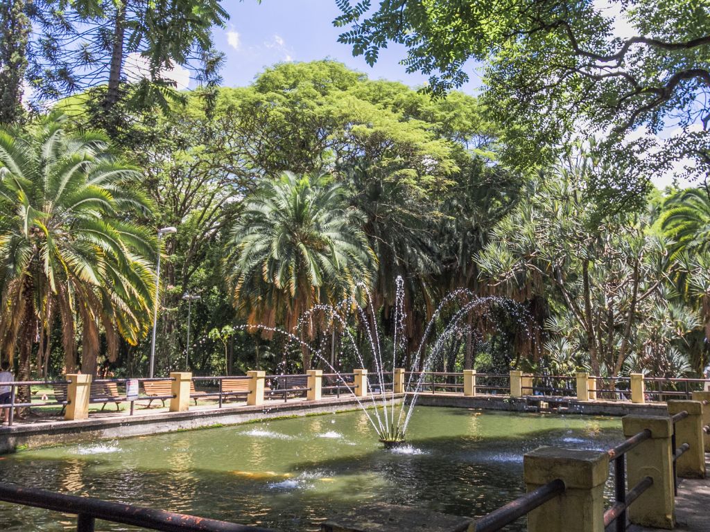 Bairro Vila Romana: Vista de um dos pontos do Parque da Água Branca